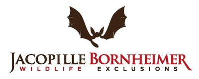 Amherst Wildlife Removal